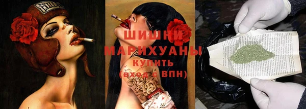кокс Арсеньев