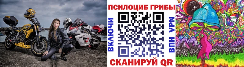 Галлюциногенные грибы Cubensis  Белая Холуница 